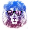 zmey73